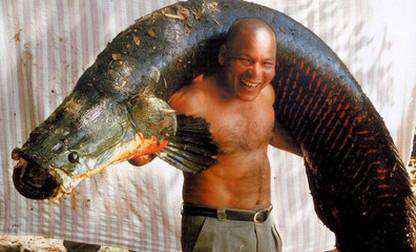 世界上最大的鱼（世界上最大的鱼有多大?）-大盘站插图8
