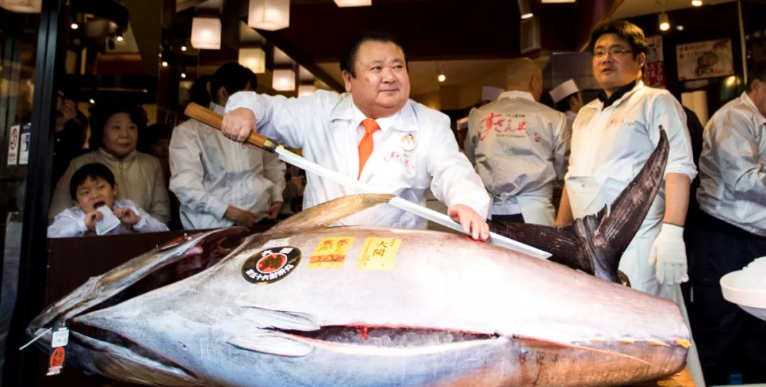 世界上最贵的鱼（世界上最稀有昂贵的鱼是什么鱼）-大盘站插图