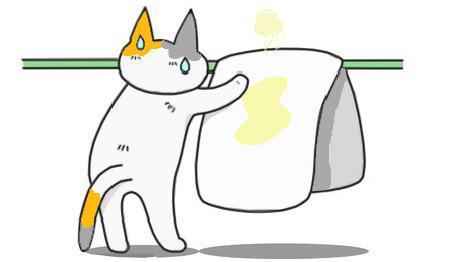 猫乱尿原因是什么（公猫或母猫在家随便乱尿什么情况）-大盘站插图