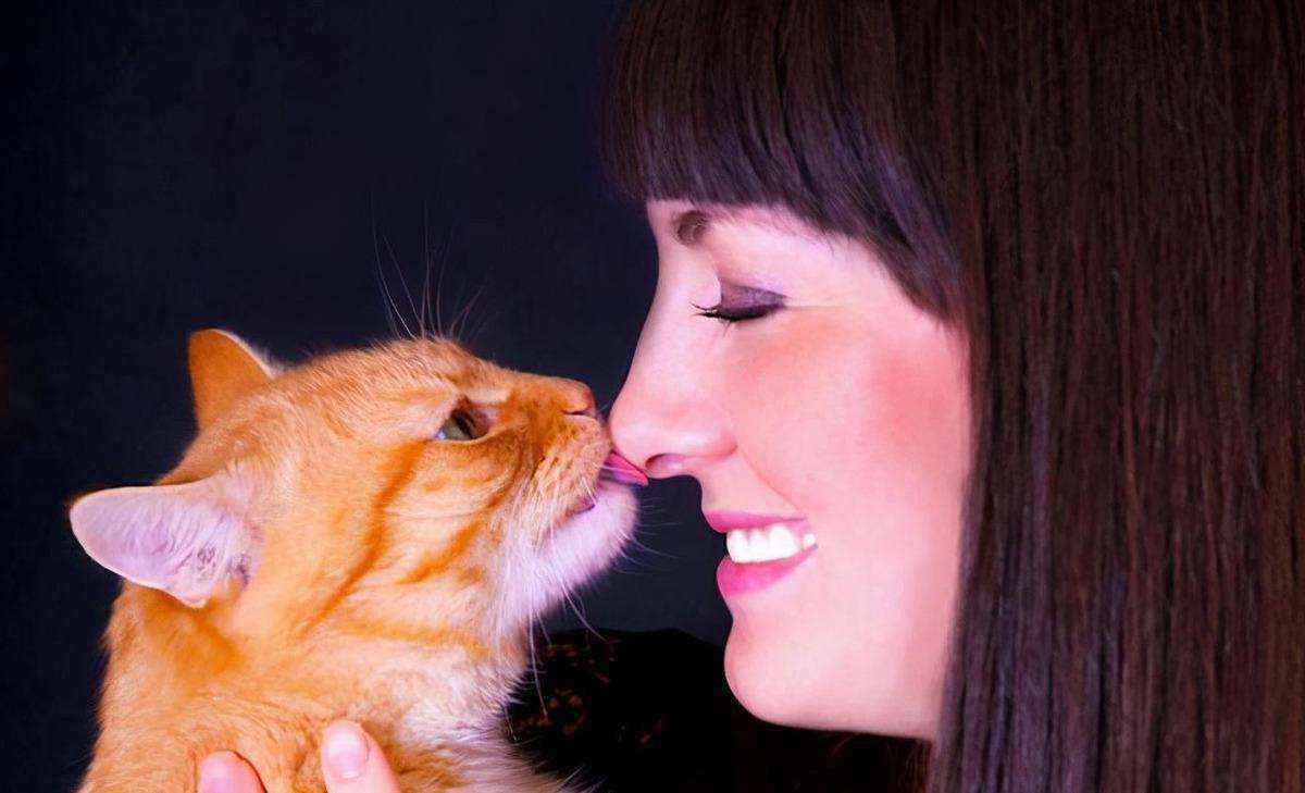 猫咪经常舔你脸可不是好事（猫咪喜欢舔脸是怎么回事）-大盘站插图