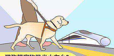 坐火车可以带宠物吗（宠物能带上火车吗）-大盘站插图