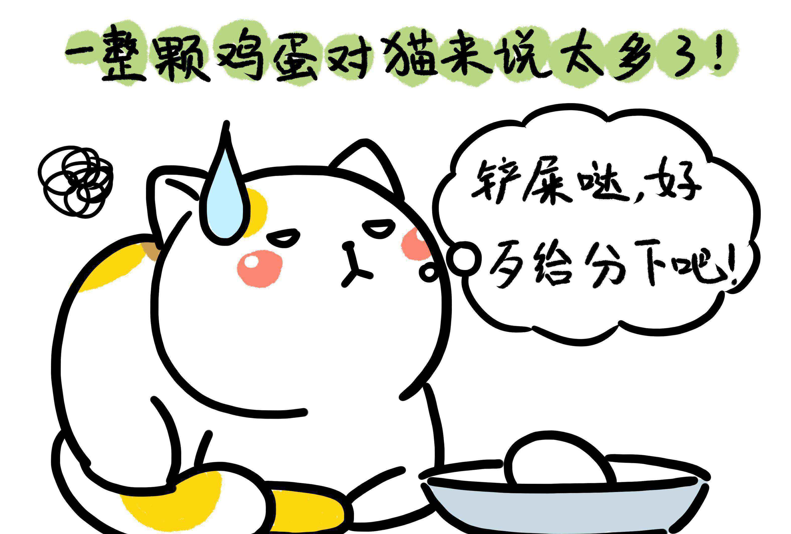 猫为什么不能吃鸡蛋白（猫可以吃鸡蛋白还是蛋黄）-大盘站插图8