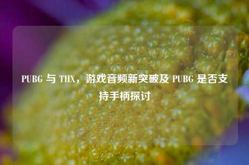 PUBG 与 THX，游戏音频新突破及 PUBG 是否支持手柄探讨