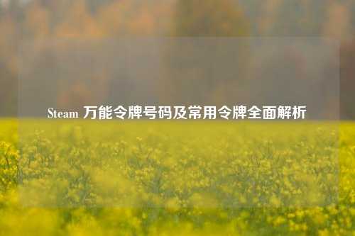 Steam 万能令牌号码及常用令牌全面解析
