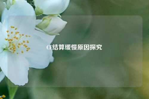 CF结算缓慢原因探究