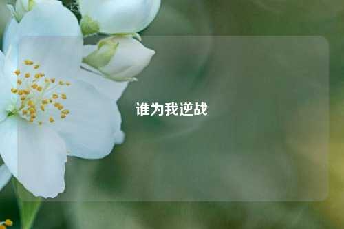 谁为我逆战