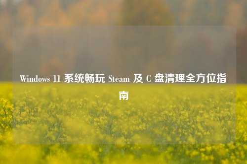 Windows 11 系统畅玩 Steam 及 C 盘清理全方位指南