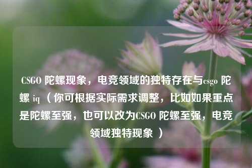 CSGO 陀螺现象,电竞领域的独特存在与csgo 陀螺 iq (你可根据实际需求调整,比如如果重点是陀螺至强,也可以改为CSGO 陀螺至强,电竞领域独特现象 )