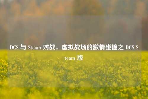 DCS 与 Steam 对战,虚拟战场的激情碰撞之 DCS Steam 版
