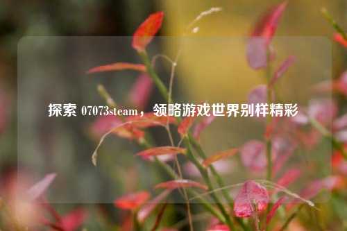 探索 07073steam，领略游戏世界别样精彩