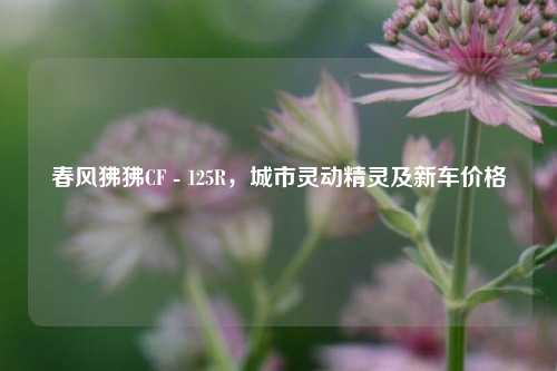 春风狒狒CF - 125R,城市灵动精灵及新车价格