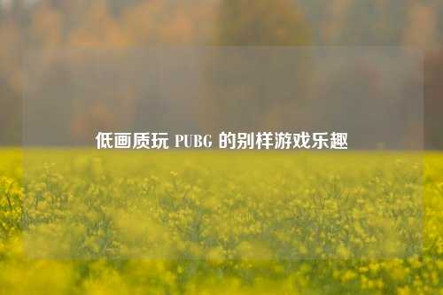 低画质玩 PUBG 的别样游戏乐趣