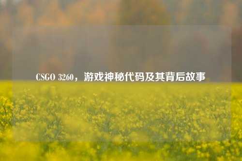 CSGO 3260，游戏神秘代码及其背后故事