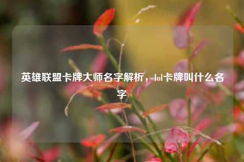 英雄联盟卡牌大师名字解析,lol卡牌叫什么名字