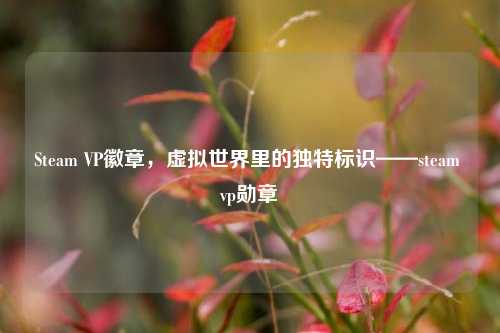Steam VP徽章，虚拟世界里的独特标识——steam vp勋章
