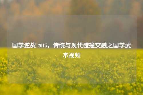 国学逆战 2015,传统与现代碰撞交融之国学武术视频