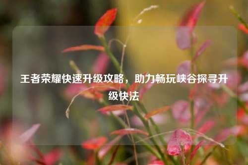 王者荣耀快速升级攻略，助力畅玩峡谷探寻升级快法
