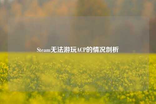 Steam无法游玩ACP的情况剖析