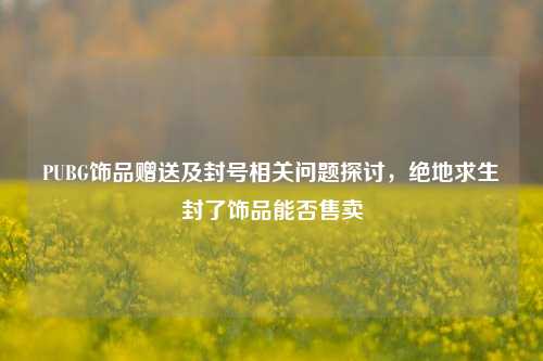 PUBG饰品赠送及封号相关问题探讨,绝地求生封了饰品能否售卖