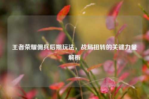 王者荣耀佣兵后期玩法,战局扭转的关键力量解析