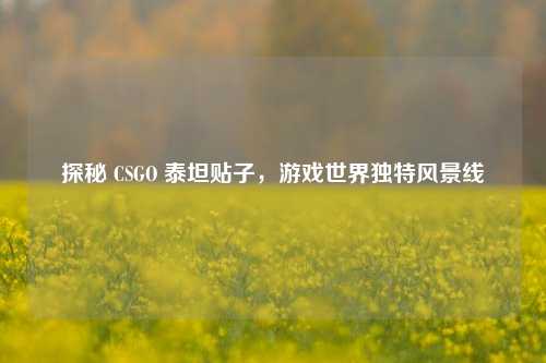 探秘 CSGO 泰坦贴子,游戏世界独特风景线