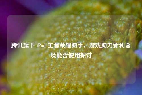 腾讯旗下 iPad 王者荣耀助手,游戏助力新利器及能否使用探讨