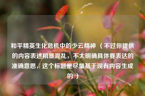 和平精英生化危机中的少云精神 (不过你提供的内容表述稍显混乱,不太明确具体要表达的准确意思,这个标题是尽量基于现有内容生成的 )