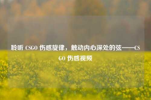聆听 CSGO 伤感旋律,触动内心深处的弦——CSGO 伤感视频