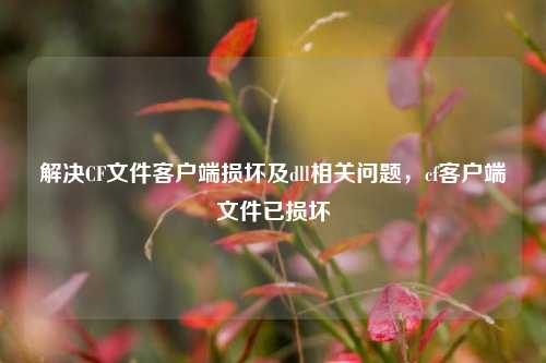 解决CF文件客户端损坏及dll相关问题,cf客户端文件已损坏