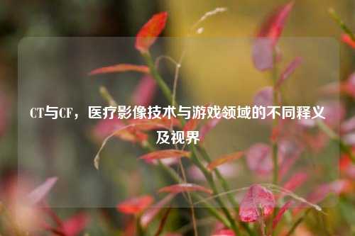 CT与CF,医疗影像技术与游戏领域的不同释义及视界