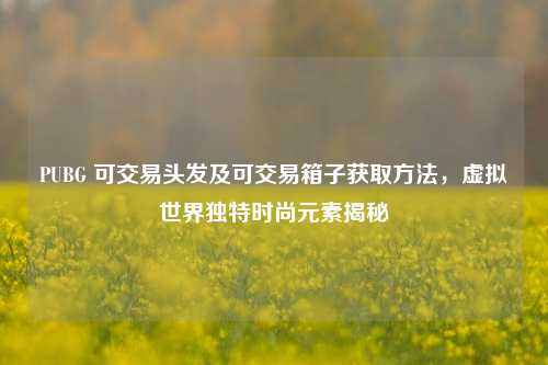 PUBG 可交易头发及可交易箱子获取方法,虚拟世界独特时尚元素揭秘