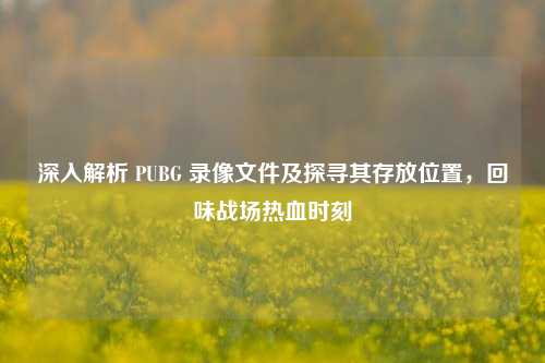 深入解析 PUBG 录像文件及探寻其存放位置，回味战场热血时刻