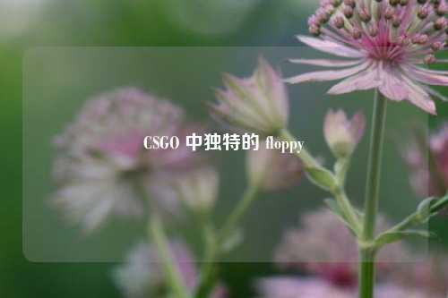 CSGO 中独特的 floppy