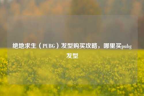 绝地求生(PUBG)发型购买攻略,哪里买pubg发型