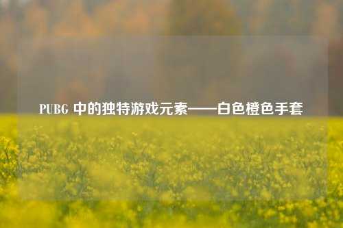 PUBG 中的独特游戏元素——白色橙色手套