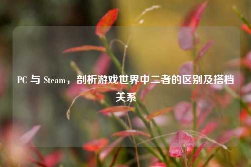 PC 与 Steam,剖析游戏世界中二者的区别及搭档关系
