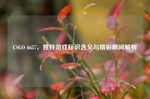 CSGO 6657,独特游戏标识含义与精彩瞬间解析