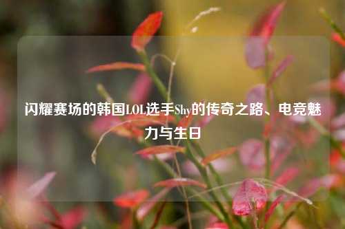 闪耀赛场的韩国LOL选手Shy的传奇之路、电竞魅力与生日