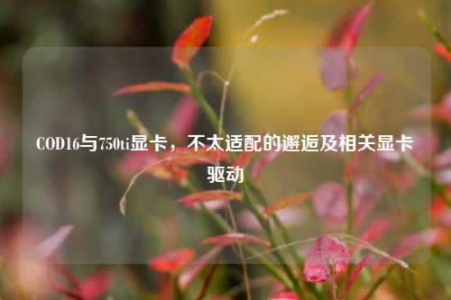 COD16与750ti显卡,不太适配的邂逅及相关显卡驱动