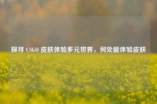 探寻 CSGO 皮肤体验多元世界,何处能体验皮肤