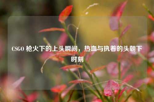 CSGO 枪火下的上头瞬间,热血与执着的头朝下时刻