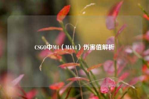 CSGO中M4(M4A4)伤害值解析