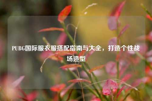 PUBG国际服衣服搭配指南与大全,打造个性战场造型