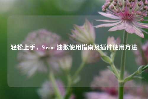 轻松上手,Steam 油猴使用指南及插件使用方法