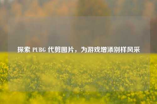 探索 PUBG 代剪图片,为游戏增添别样风采