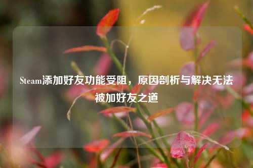 Steam添加好友功能受阻,原因剖析与解决无法被加好友之道