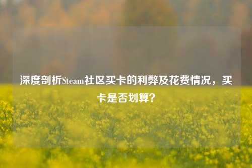 深度剖析Steam社区买卡的利弊及花费情况，买卡是否划算？
