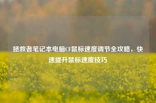 拯救者笔记本电脑CF鼠标速度调节全攻略,快速提升鼠标速度技巧