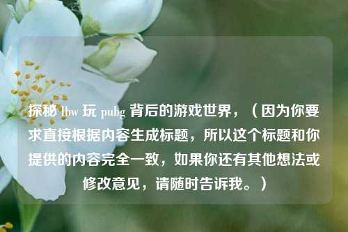 探秘 lbw 玩 pubg 背后的游戏世界，（因为你要求直接根据内容生成标题，所以这个标题和你提供的内容完全一致，如果你还有其他想法或修改意见，请随时告诉我。）
