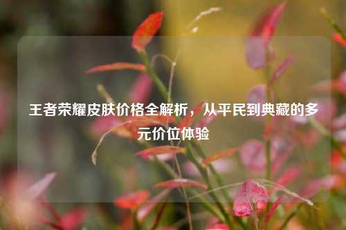 王者荣耀皮肤价格全解析,从平民到典藏的多元价位体验